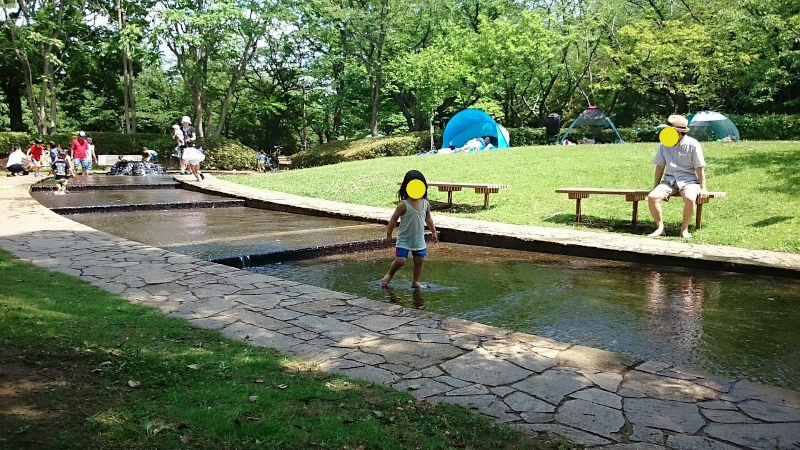 実際行ってきた 千葉で水遊びができる公園3選 フーフーブロガー